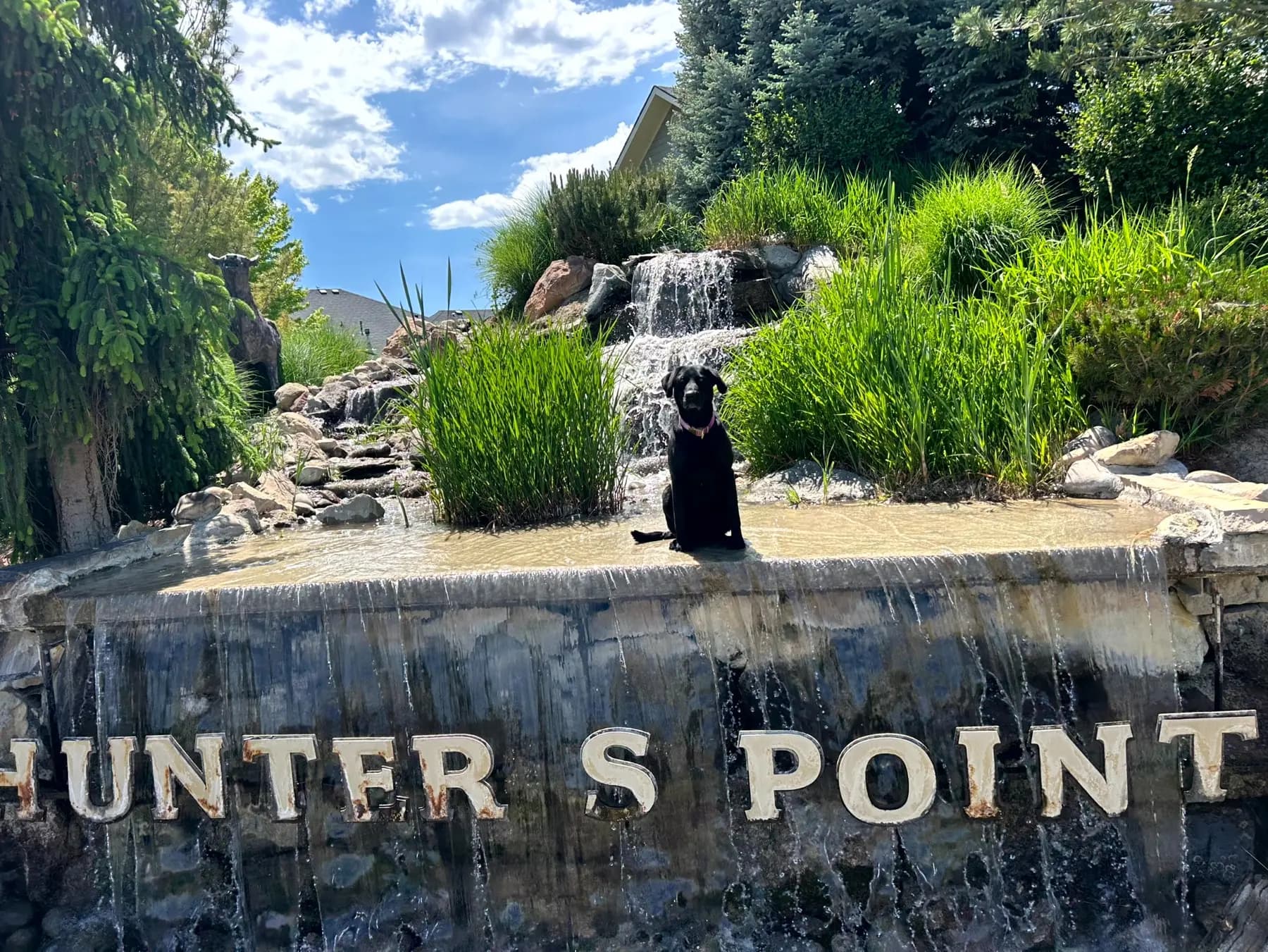 Elite Pump & Water Systems: Community water feature